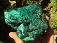 Polished Malachite Free Forms x 3 From Kolwezi, Congo