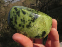 Polished Selected Leopard Stone Free Forms With Nice Colour & Patterns  x 5 From Zimbabwe - TopRock