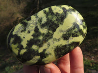 Polished Selected Leopard Stone Free Forms With Nice Colour & Patterns  x 5 From Zimbabwe - TopRock