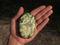 Polished Selected Leopard Stone Free Forms With Nice Colour & Patterns  x 5 From Zimbabwe - TopRock