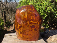 Polished Large Golden Tigers Eye Display Piece x 1 From Prieska,  South Africa