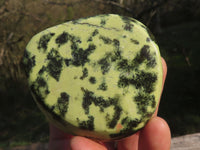 Polished Selected Leopard Stone Free Forms With Nice Colour & Patterns  x 5 From Zimbabwe - TopRock