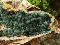 Natural Rare Ball Malachite On Drusi Quartz & Dolomite Matrix  x 1 From Kambove, Congo - Toprock Gemstones and Minerals 