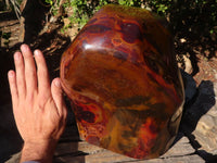 Polished Large Golden Tigers Eye Display Piece x 1 From Prieska,  South Africa