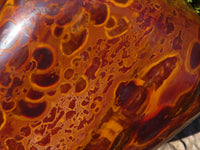 Polished Large Golden Tigers Eye Display Piece x 1 From Prieska,  South Africa