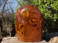 Polished Large Golden Tigers Eye Display Piece x 1 From Prieska,  South Africa