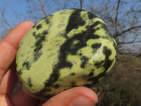 Polished Selected Leopard Stone Free Forms With Nice Colour & Patterns  x 5 From Zimbabwe - TopRock