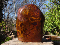 Polished Large Golden Tigers Eye Display Piece x 1 From Prieska,  South Africa