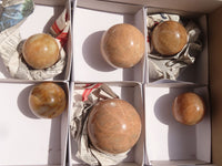 Polished Peach Moonstone Spheres  x 6 From Madagascar