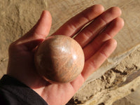 Polished Peach Moonstone Spheres  x 6 From Madagascar