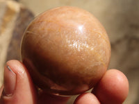 Polished Peach Moonstone Spheres  x 6 From Madagascar