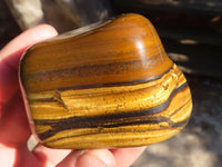 Polished Golden Tigers Eye Free Forms x 6 From Prieska, Northern Cape