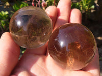 Polished Smokey Quartz Crystal Balls x 6 From Madagascar