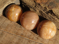 Polished Peach Moonstone Spheres  x 6 From Madagascar