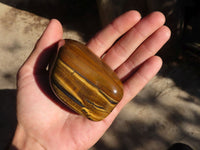 Polished Golden Tigers Eye Free Forms x 6 From Prieska, Northern Cape