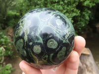 Polished Stromatolite / Kambamba Jasper Spheres  x 3 From Madagascar - TopRock