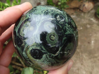 Polished Stromatolite / Kambamba Jasper Spheres  x 3 From Madagascar - TopRock