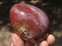 Polished Petrified Red Podocarpus Wood Eggs & Stands  x 4 From Mahajanga, Madagascar - TopRock