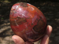 Polished Petrified Red Podocarpus Wood Eggs & Stands  x 4 From Mahajanga, Madagascar - TopRock