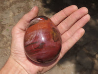 Polished Petrified Red Podocarpus Wood Eggs & Stands  x 4 From Mahajanga, Madagascar - TopRock