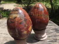 Polished Petrified Red Podocarpus Wood Eggs & Stands  x 4 From Mahajanga, Madagascar - TopRock