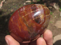 Polished Petrified Red Podocarpus Wood Eggs & Stands  x 4 From Mahajanga, Madagascar - TopRock