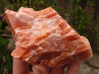 Natural New Sunset Orange Calcite Specimens  x 4 From Spitzkop, Namibia