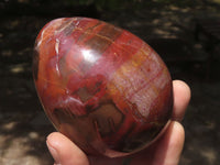 Polished Petrified Red Podocarpus Wood Eggs & Stands  x 4 From Mahajanga, Madagascar - TopRock