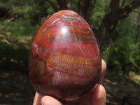 Polished Petrified Red Podocarpus Wood Eggs & Stands  x 4 From Mahajanga, Madagascar - TopRock