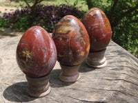 Polished Petrified Red Podocarpus Wood Eggs & Stands  x 4 From Mahajanga, Madagascar - TopRock