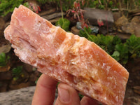 Natural New Sunset Orange Calcite Specimens  x 4 From Spitzkop, Namibia