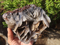 Natural Large Bladed Baryte Specimen  x 1 From Congo