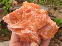 Natural New Sunset Orange Calcite Specimens  x 4 From Spitzkop, Namibia