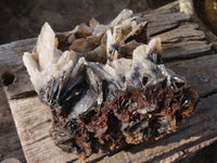 Natural Large Bladed Baryte Specimen  x 1 From Congo