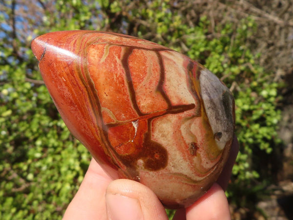 Polished Polychrome Jasper Domed Pieces  x 6 From Madagascar