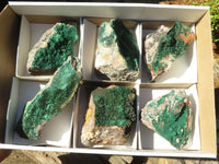 Natural Micro Botryoidal Crystalline Malachite Specimens  x 6 From Congo