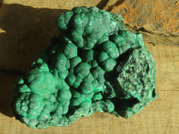 Natural Botryoidal Malachite Specimen  x 1 From Kolwezi, Congo