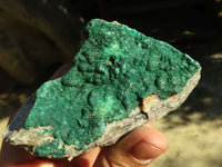 Natural Micro Botryoidal Crystalline Malachite Specimens  x 6 From Congo