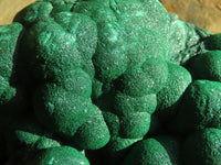 Natural Botryoidal Malachite Specimen  x 1 From Kolwezi, Congo