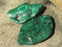 Polished Malachite Free Forms With Stunning Flower & Banding Patterns x 2 From Kolwezi, Congo - TopRock