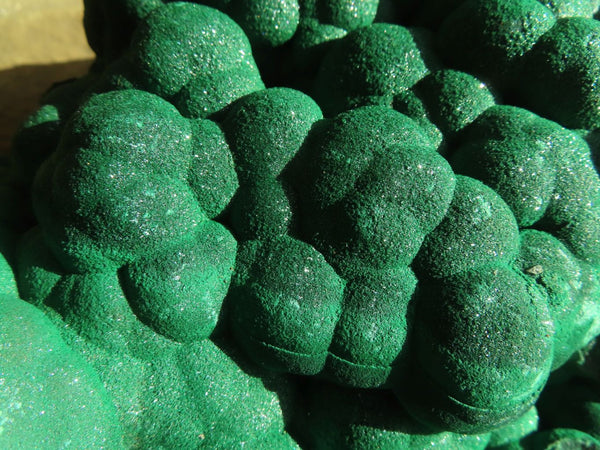 Natural Botryoidal Malachite Specimen  x 1 From Kolwezi, Congo