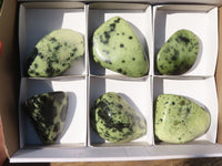 Polished Green Leopard Stone Standing Free Forms x 6 From Zimbabwe