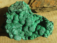 Natural Botryoidal Malachite Specimen  x 1 From Kolwezi, Congo