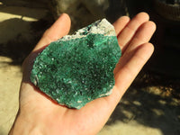 Natural Micro Botryoidal Crystalline Malachite Specimens  x 6 From Congo