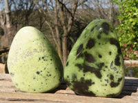 Polished Green Leopard Stone Standing Free Forms x 6 From Zimbabwe