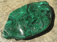 Polished Malachite Free Forms With Stunning Flower & Banding Patterns x 2 From Kolwezi, Congo - TopRock