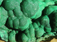 Natural Botryoidal Malachite Specimen  x 1 From Kolwezi, Congo