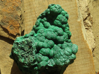 Natural Botryoidal Malachite Specimen  x 1 From Kolwezi, Congo