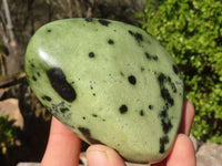 Polished Green Leopard Stone Standing Free Forms x 6 From Zimbabwe