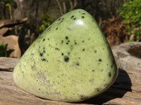 Polished Green Leopard Stone Standing Free Forms x 6 From Zimbabwe